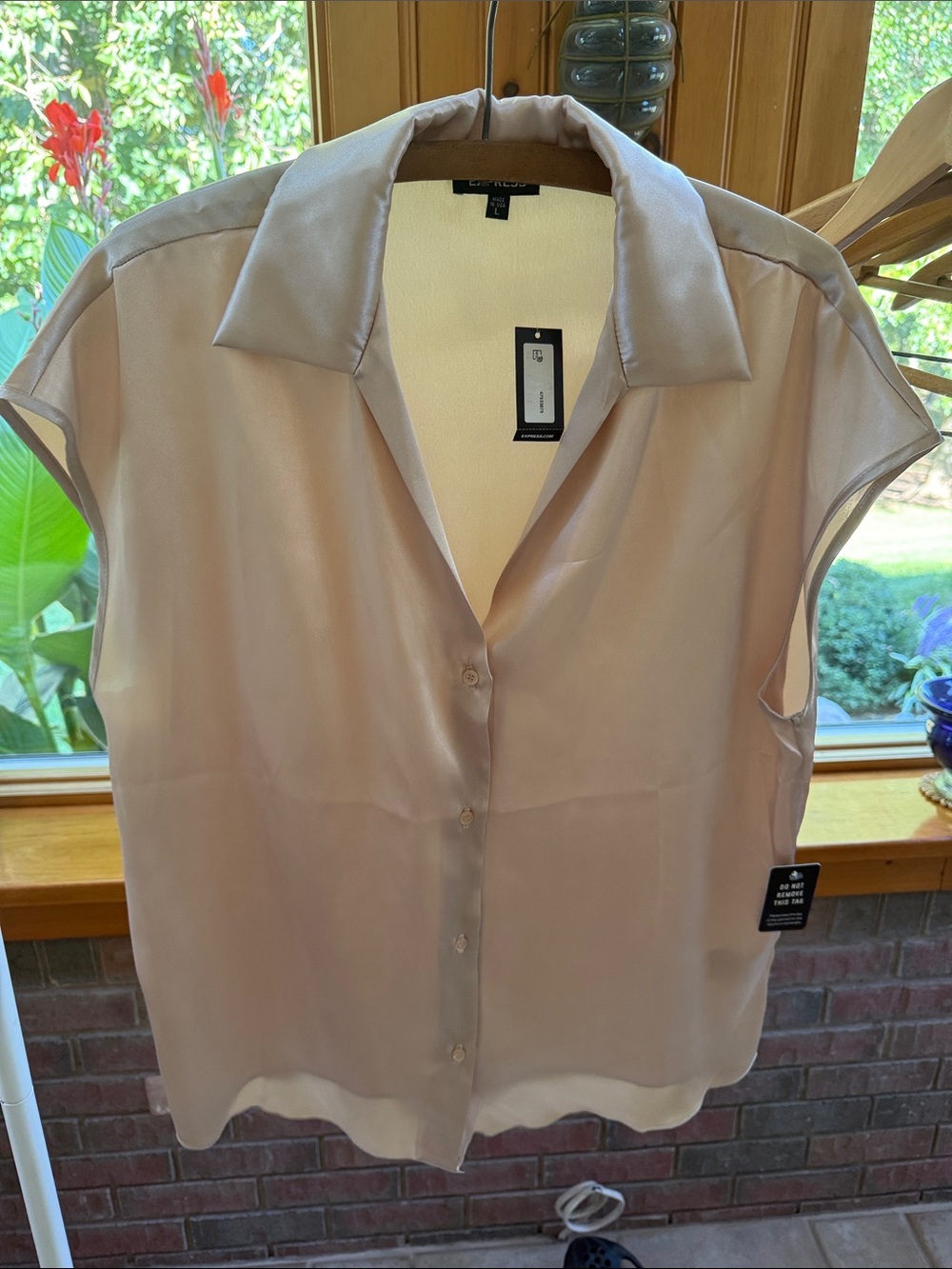 Express Sleeveless Champagne Color Satin Button-Front Top
